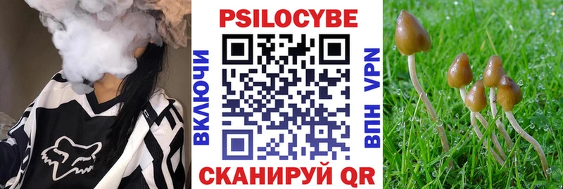 Псилоцибиновые грибы ЛСД  магазин продажи наркотиков  kraken вход  Нижневартовск 