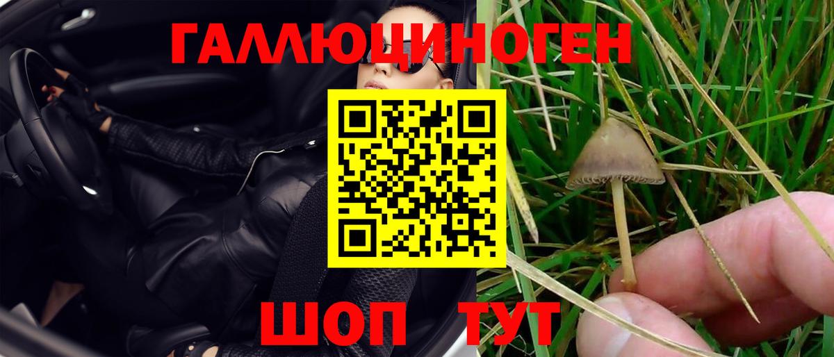 Псилоцибиновые грибы мицелий Нижневартовск